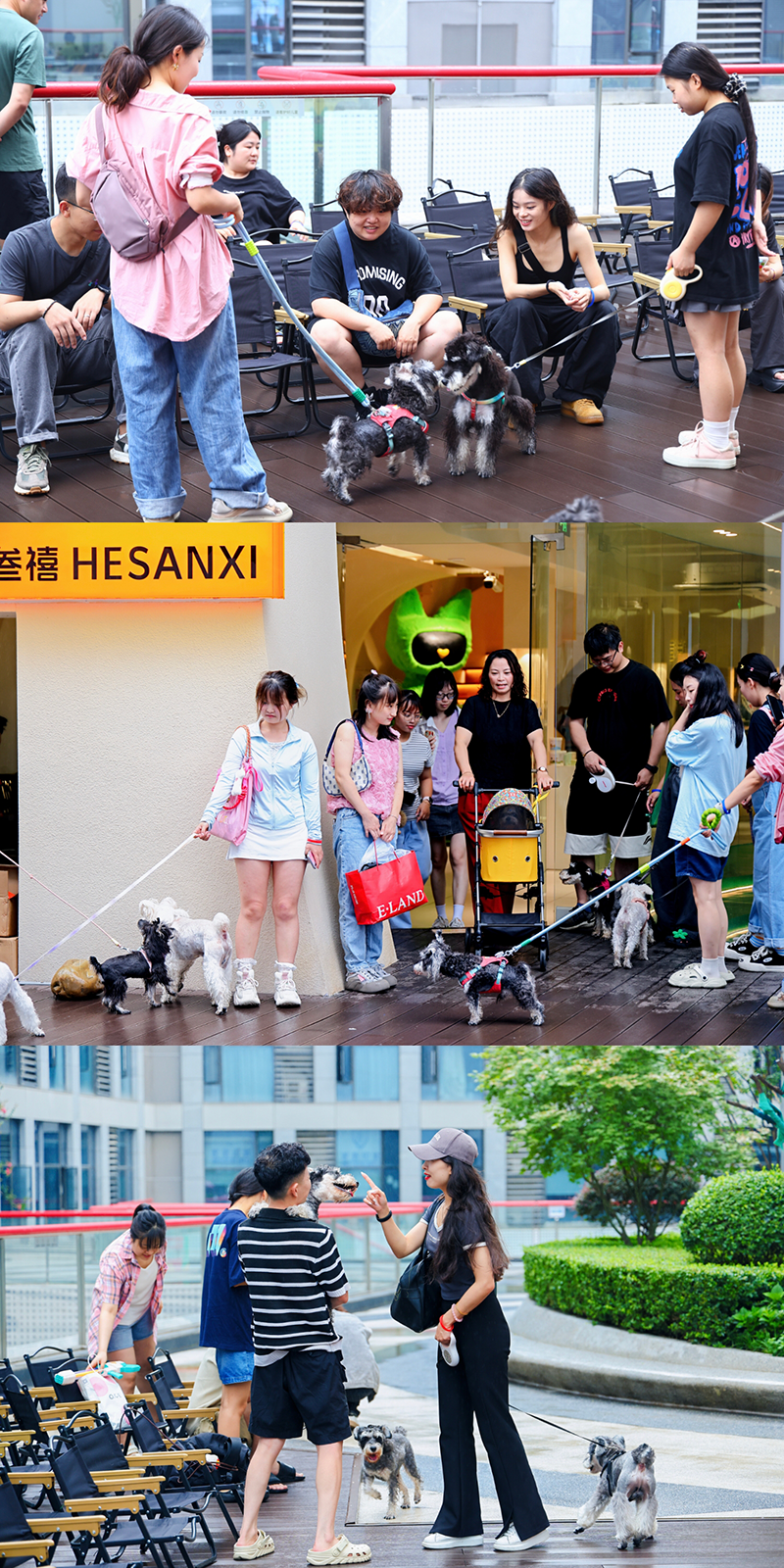 IMG_20240805_115253.png