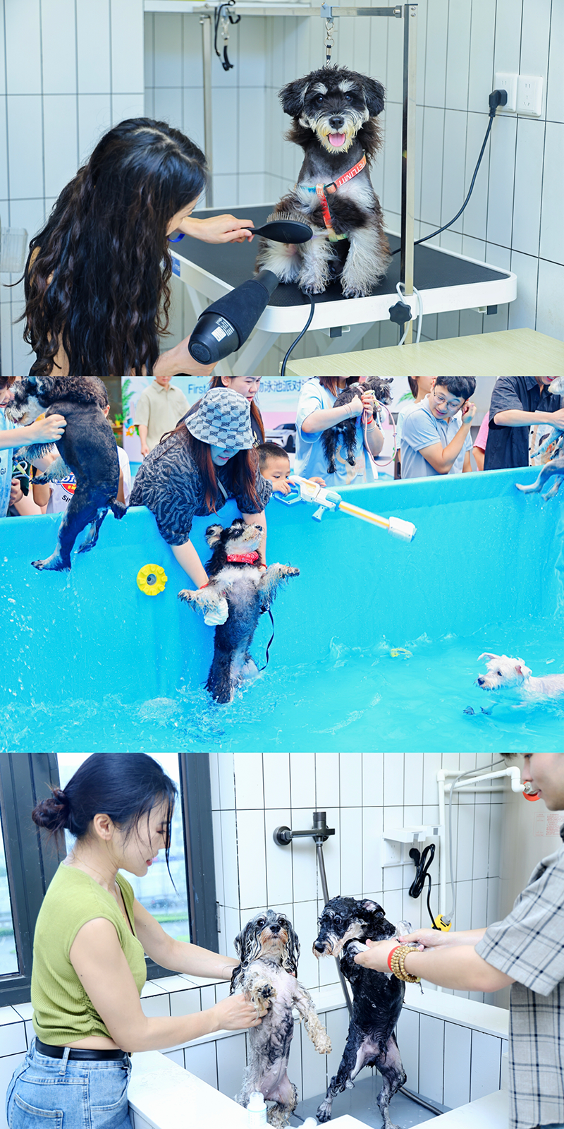 IMG_20240805_115328.png