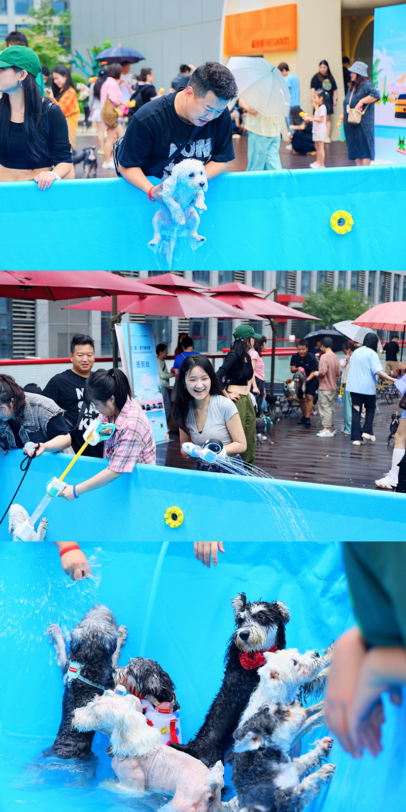 IMG_20240805_132045.png